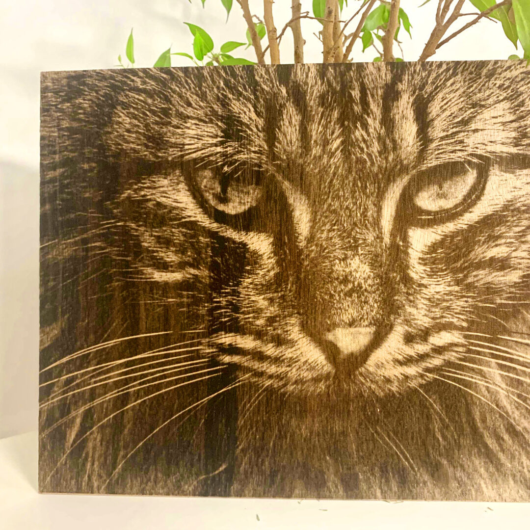 Ukázka gravírování do dřevěné desky