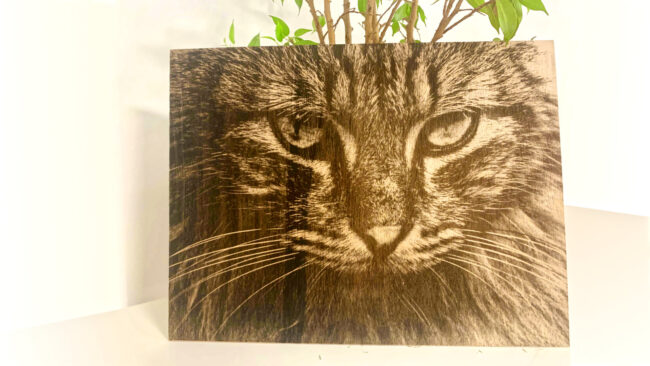 Ukázka gravírování do dřevěné desky