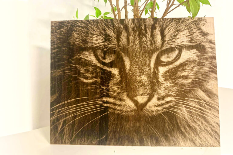 Ukázka gravírování do dřevěné desky