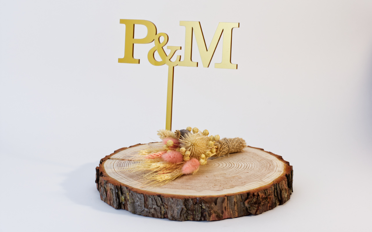 Obrázek inicialy zapich galerie