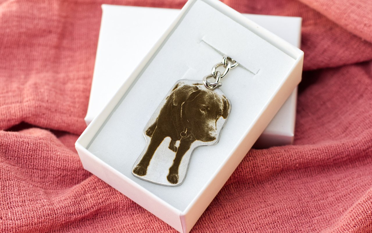 Obrázek galerie klicenka