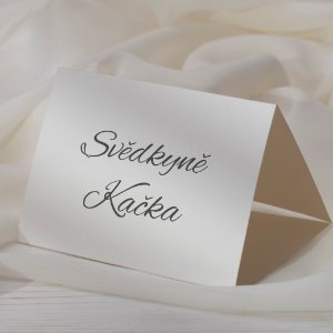 Jmenovky stříšky s vlastním návrhem 50 - 500 ks