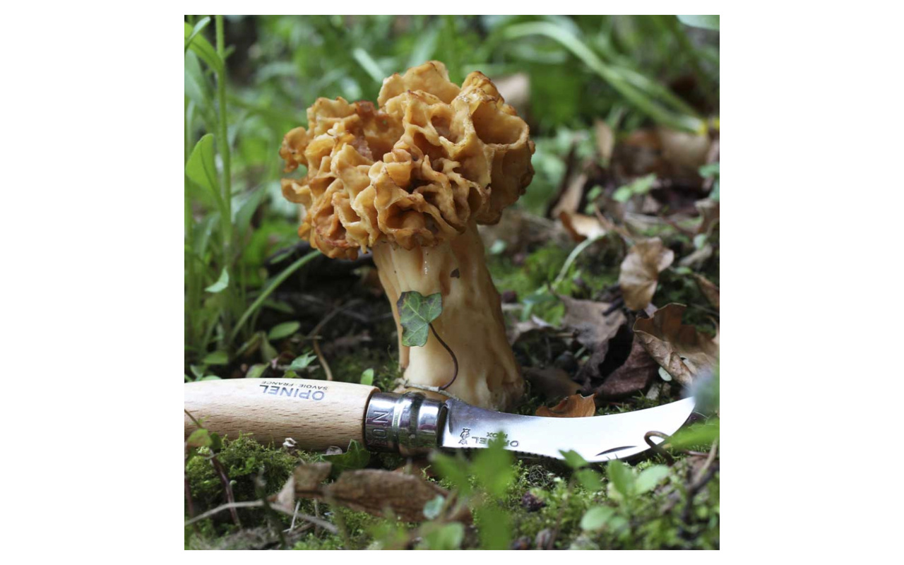 Houbařský kapesní nůž OPINEL N°08 s gravírováním 3 Obrázek galerie opinel n08.1