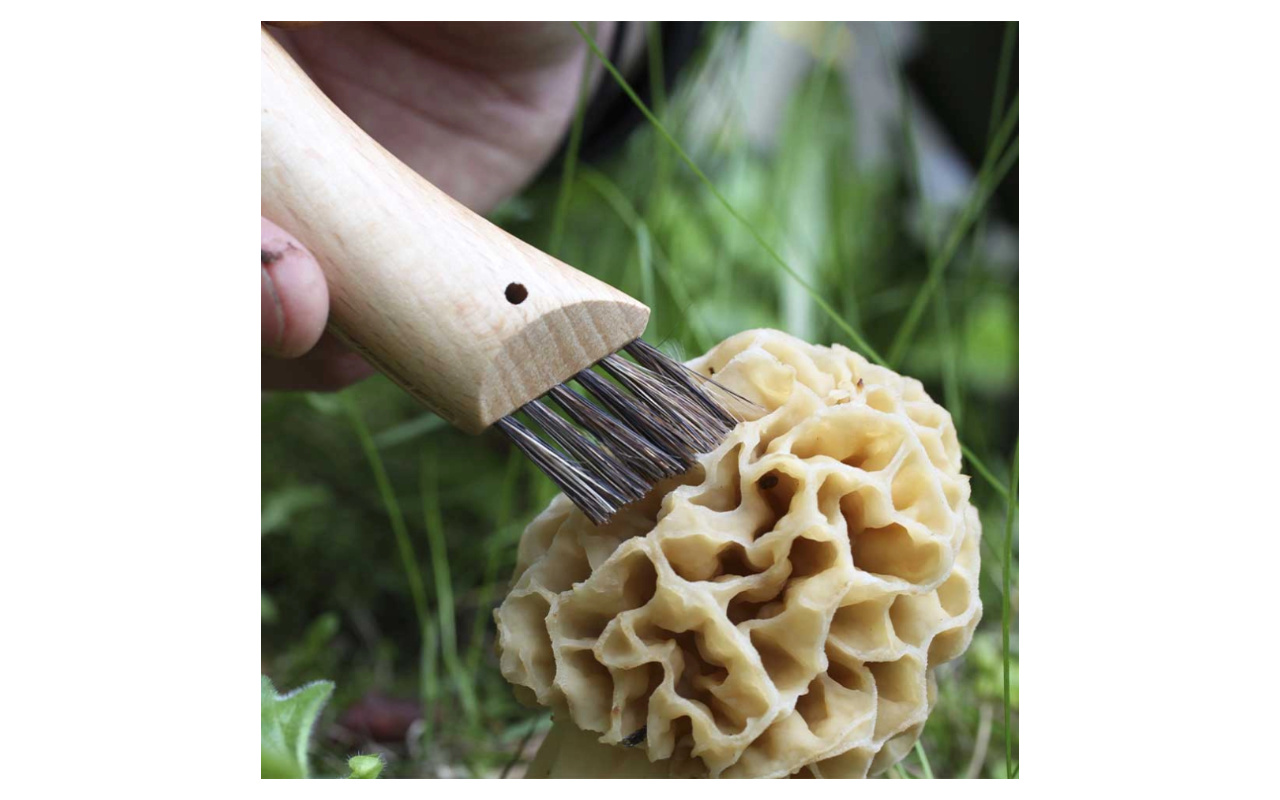 Houbařský kapesní nůž OPINEL N°08 s gravírováním 2 Obrázek galerie opinel n08