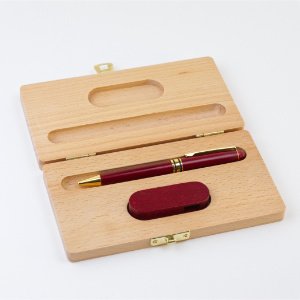 Sada USB flash disk a pero s vlastním gravírováním