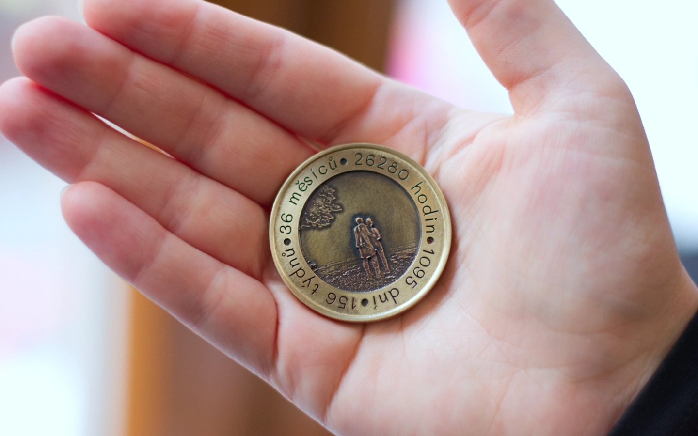 Pamětní mince v dřevěné kazetě s vlastním návrhem 8 Obrázek galerie mince namiru2