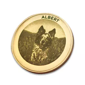 Pamětní mince s vlastní fotkou