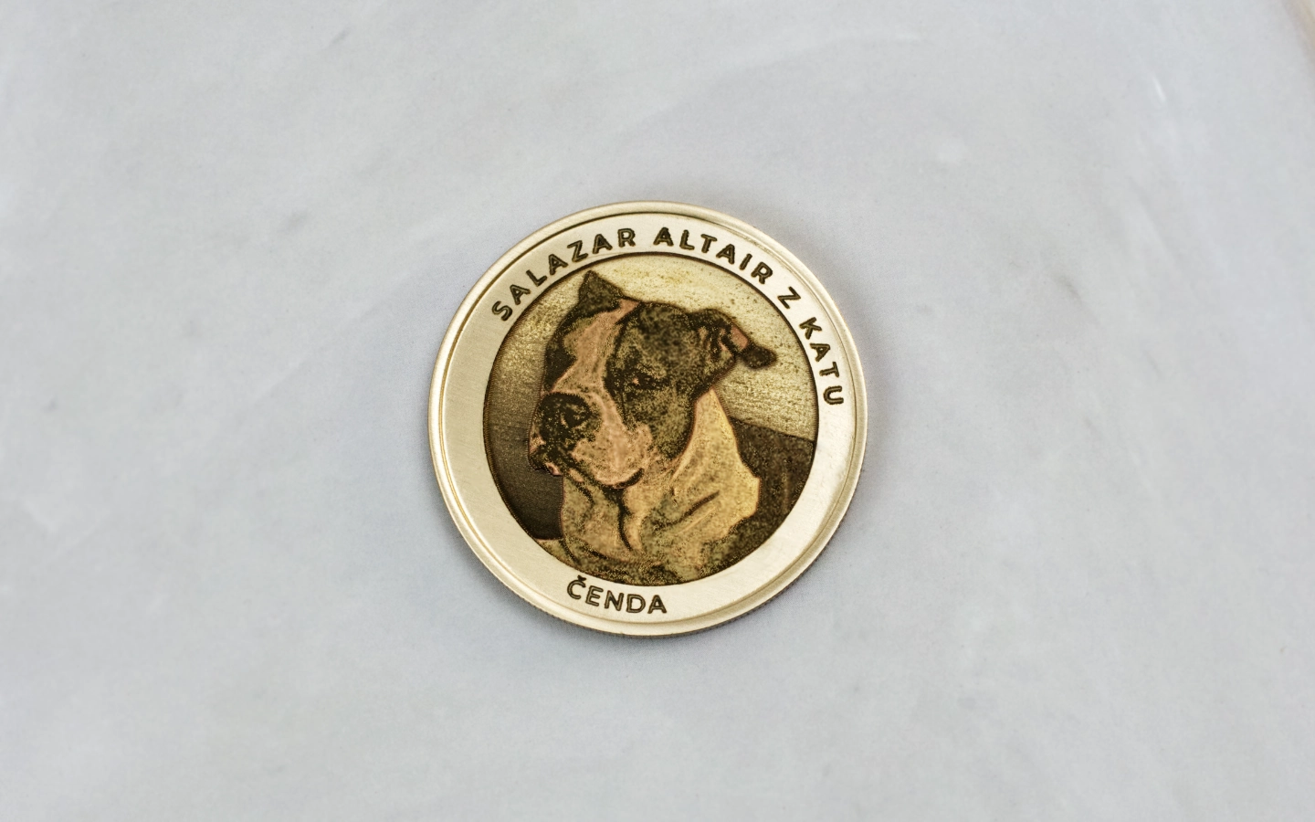 Obrázek galerie mince cenda