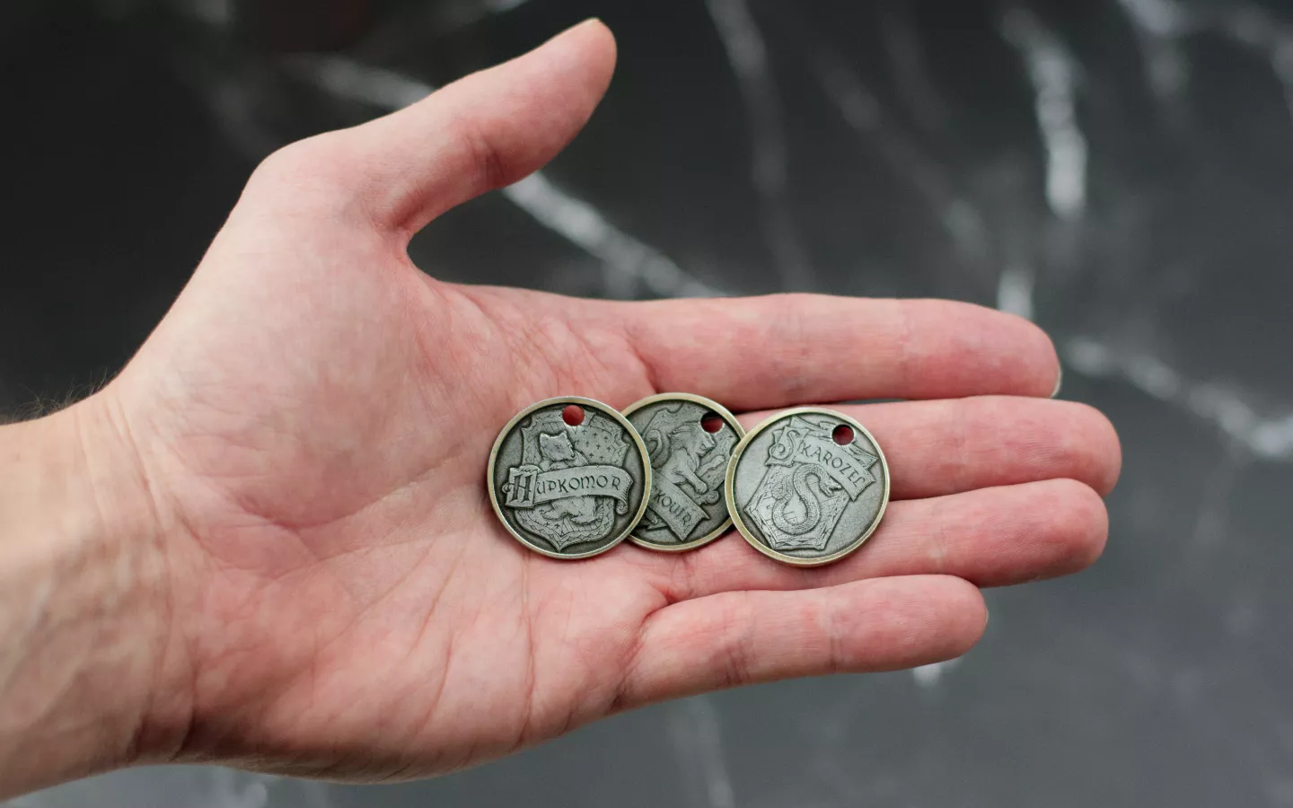 Obrázek galerie mince privesek1