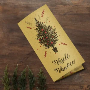 Vánoční DL přání s místem na peníze