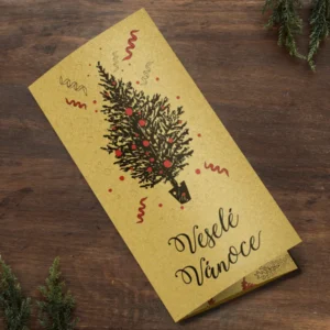 Vánoční DL přání s místem na peníze