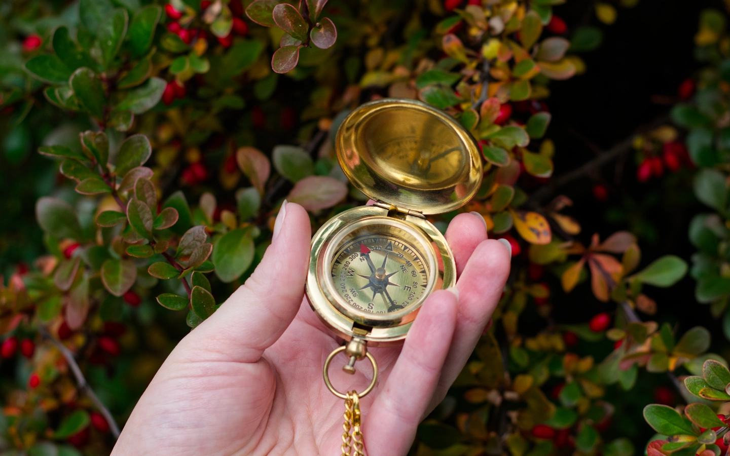 Obrázek galerie zlaty kompas 1